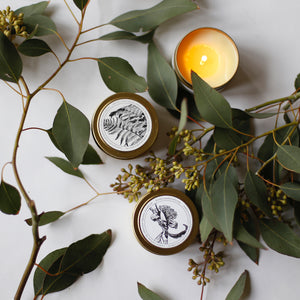 Brooklyn Candle Studio / Gold Travel Candle 03 SWEET FIG